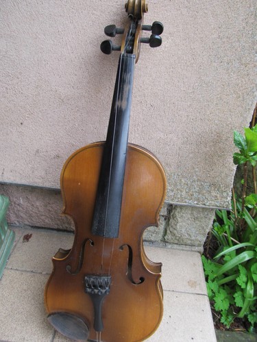 Old violin sheppard - violin,,