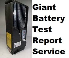 Giant E  Electric Bike Battery