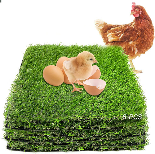 Washable chicken nesting - chicken,