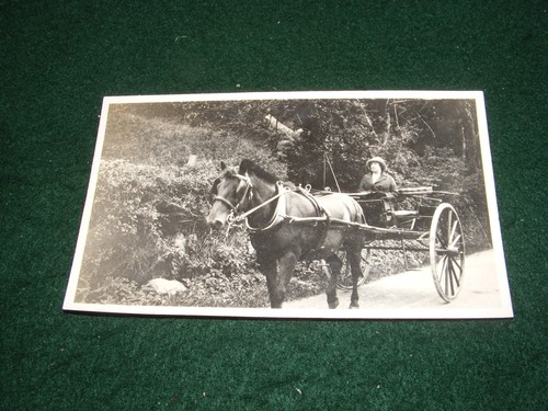 Vintage photograph lady - vintage,