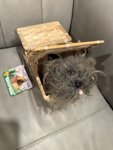 The wizard toto in a - toto,