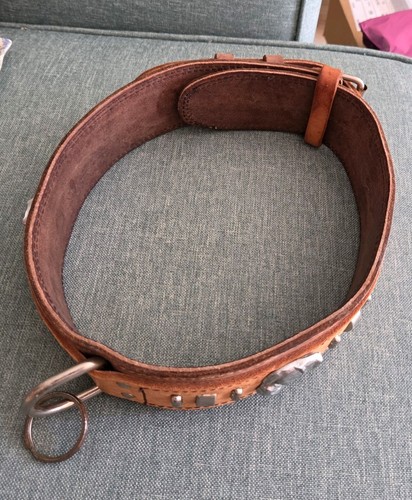 Large strong leather dog - strong,