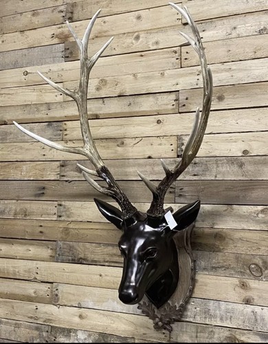 Large stag head wall art - x,
