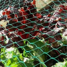 Anti-Bird Pond Net Netting