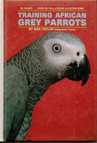 Training african grey parrots - african,