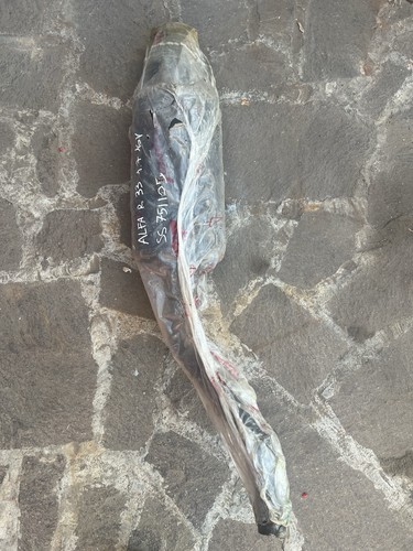 Exhaust terminal supersprint - exhaust,