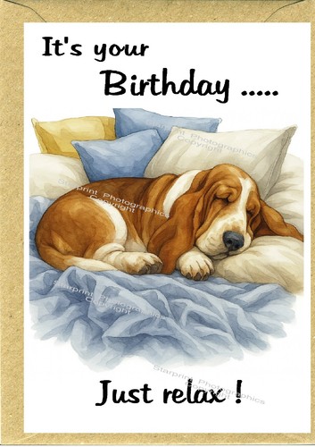 Basset hound dog birthday card - basset,
