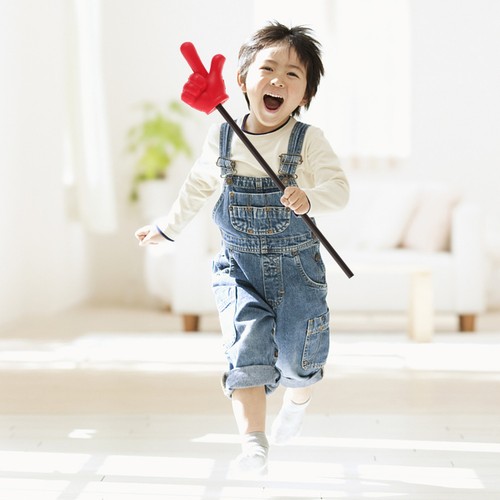 Hand pointer stick for - stick,