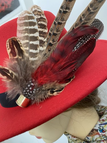 Pheasant and guinea fowl - and,