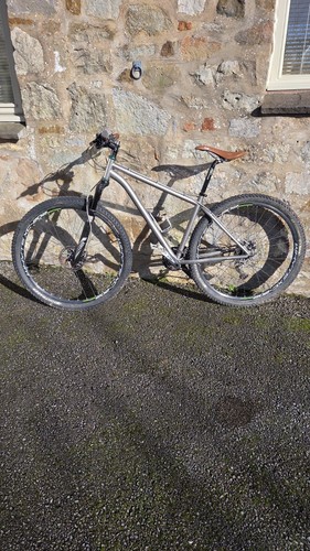 Titanium mountain bike - titanium,