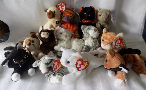Beanie cats only - beanie,