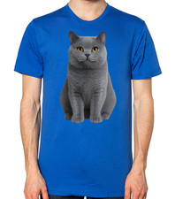 British Shorthair Cat Unisex