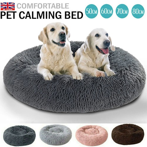 Comfy calming extra large - calming, dog