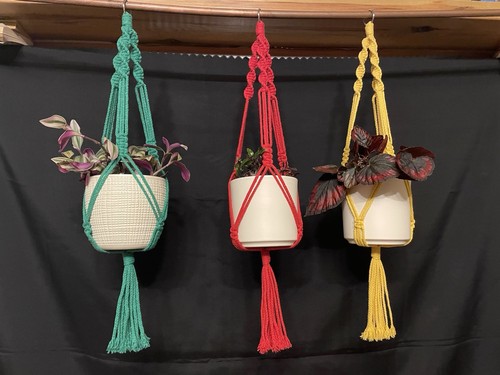 Macrame plant hanger - plant, garden