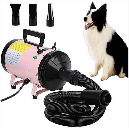 Pet dog grooming hair - dog, dryer