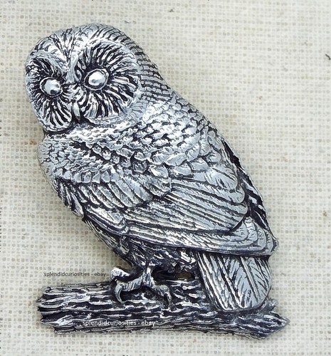 Tawny owl bird - tawny,