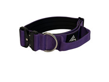 combat dog collar with handle