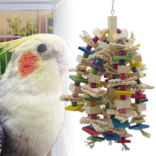 Bird cage chew - bird, for