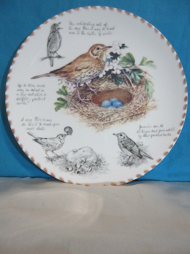 Danbury mint wedgwood plate - /,