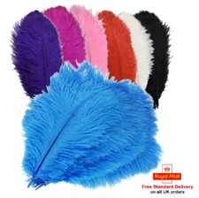 Solid Colour Ostrich Feathers 15-30cm (6-12") - 1 or 5 pk - Crafts Hats Florist