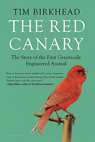 The red canary story - canary:,