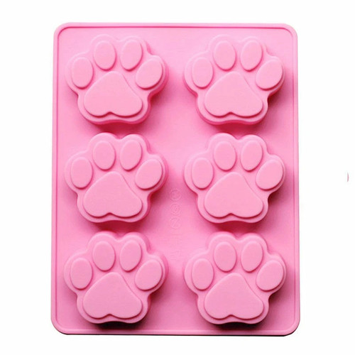 Paws cat dog - dog, bear
