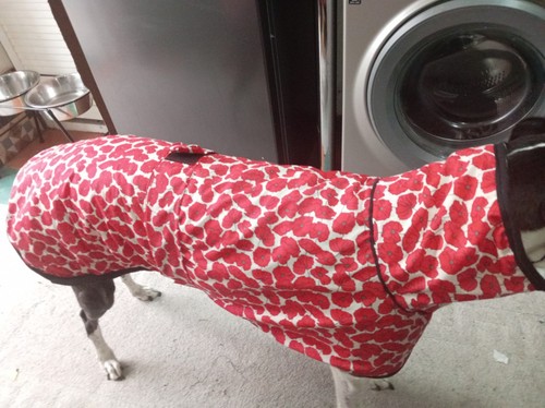 Handmade female greyhound - handmade,