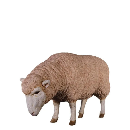 Lifesize merino ewe - lifesize, head