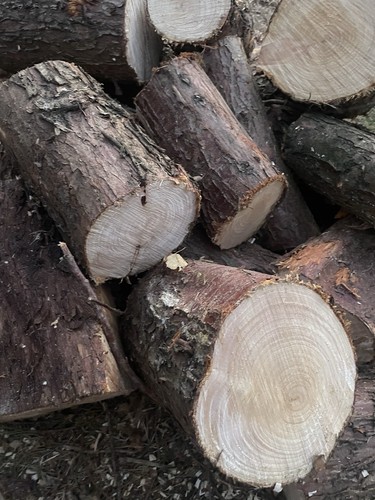 Ton bag logs - 1,