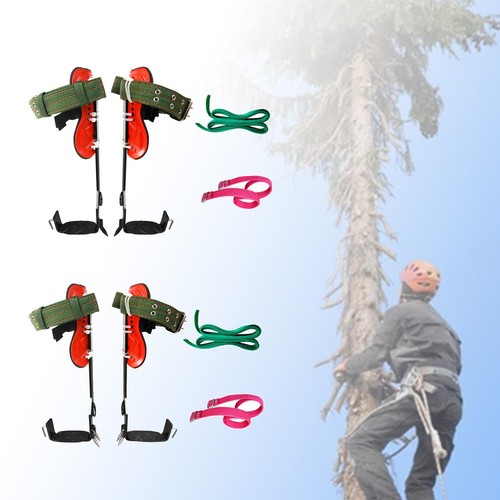 Tree climbing spikes - tree,