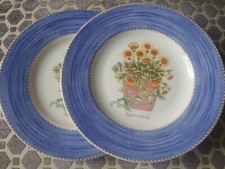 SET OF 2 - WEDGWOOD SARAH'S GARDEN SALAD PLATES  BLUE Tagetes Patula USED