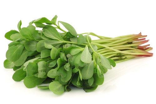 Purslane green 10000 seeds - –,