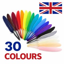 10-15cm Goose Feathers Arts