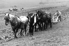 qmm-52 Social History, Farming, Horse Pulling Plough. Photo