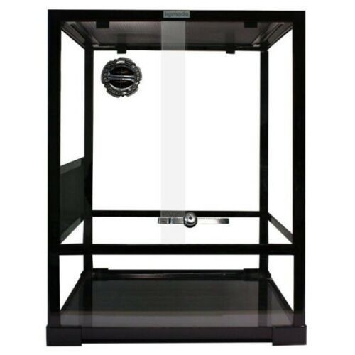 Komodo glass reptile terrarium - komodo,