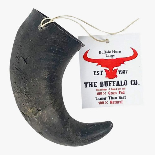 Buffalo horn large - buffalo, (6-8