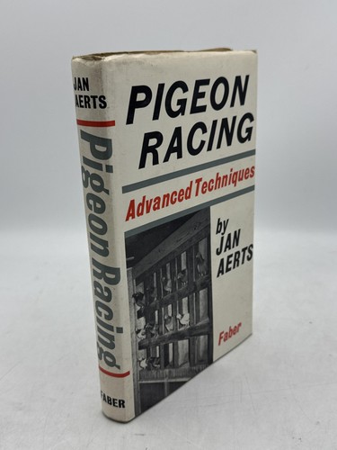 Pigeon racing advanced - pigeon,