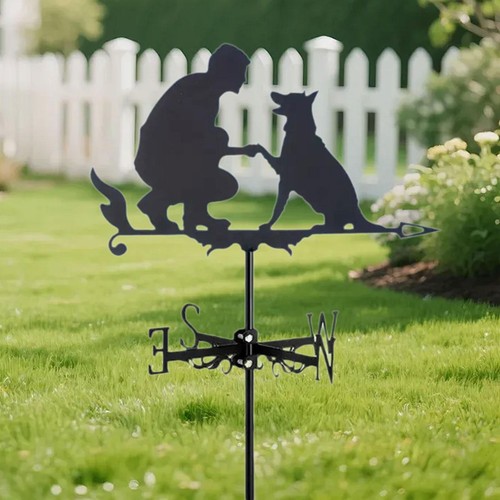 Metal weather vane - metal, iron