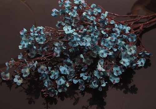 Jaky global babys breath - babys,