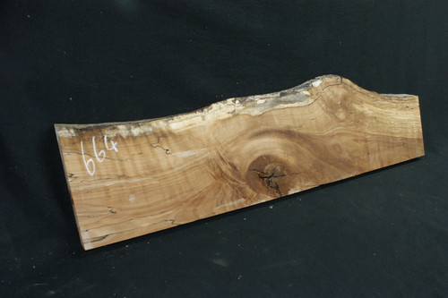 Spalted beech 1186 320 234 - l, 320-234
