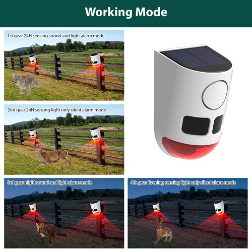 Solar motion alarm - alarm, dog