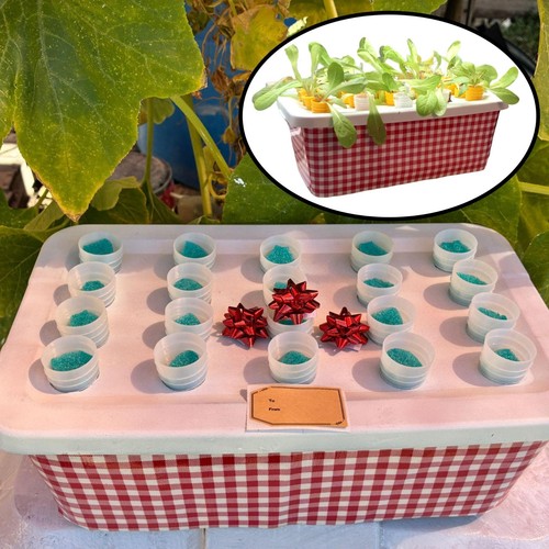 Site hydroponic window - hydroponic,