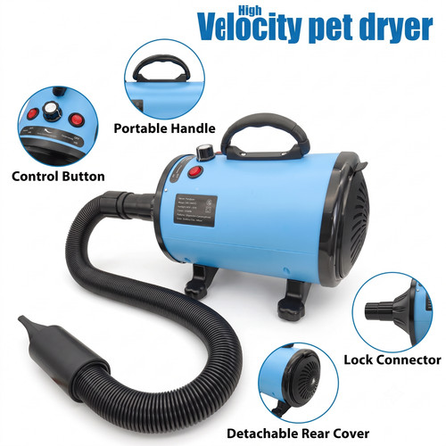 Pet hair dryer - pet, cat