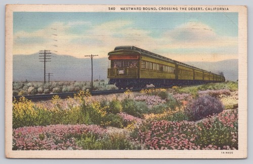 Vintage california desert - california,