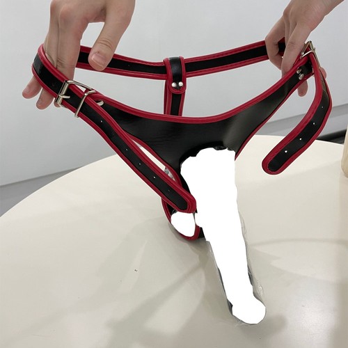 Dildo plug strap - plug, strap-on