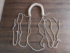 Pessoa Rein Lunging Training