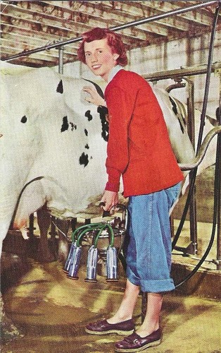 Vintage surge dairy farm - vintage,