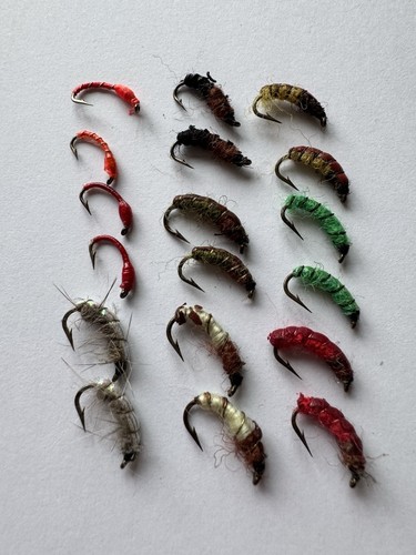 10x nymphs selection caledonia - selection,