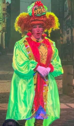 Grinch pantomime dame costume - grinch,