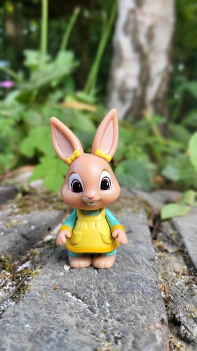 Peter rabbit cotton tail - peter,
